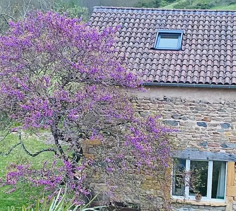 Le Petit Chacel Villa Sourcieux-les-Mines